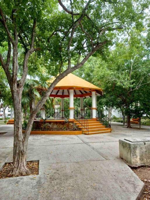 カンクン Beautiful Jungle House On A Strategic Locationヴィラ エクステリア 写真