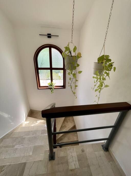 カンクン Beautiful Jungle House On A Strategic Locationヴィラ エクステリア 写真