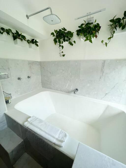 カンクン Beautiful Jungle House On A Strategic Locationヴィラ エクステリア 写真