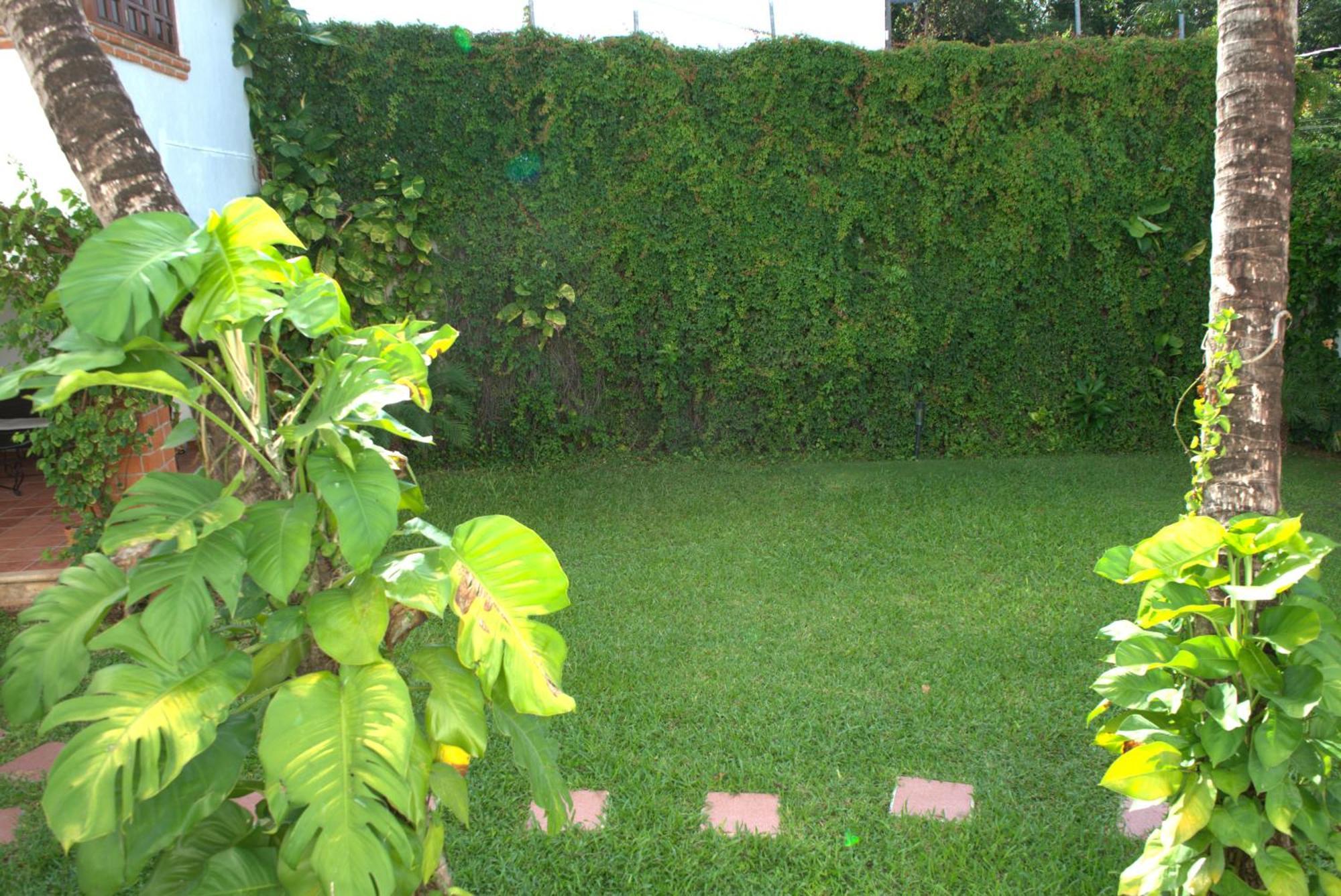 カンクン Beautiful Jungle House On A Strategic Locationヴィラ エクステリア 写真